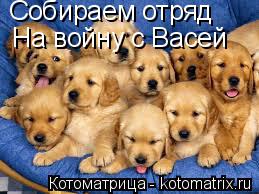 Собираем отряд На войну с Васей... Котоматрица: Собираем отряд На войну с Васей
