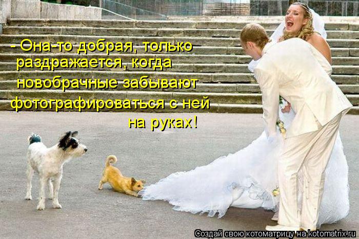 раздражается, когда - Она-то добрая, только новобрачные забывают фотографироваться с ней на руках!... Котоматрица: раздражается, когда - Она-то добрая, только новобрачные забывают фотографироваться с ней на руках!
