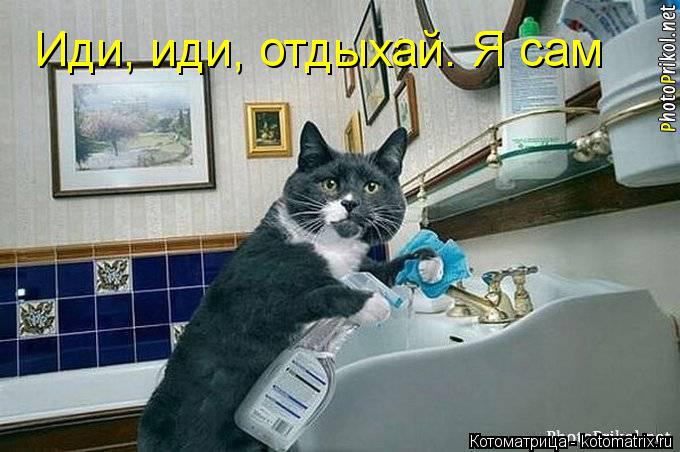 Иди, иди, отдыхай. Я сам... Котоматрица: Иди, иди, отдыхай. Я сам