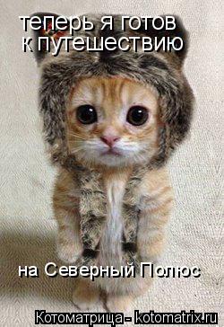 теперь я готов к путешествию на Северный Полюс... Котоматрица: теперь я готов к путешествию на Северный Полюс