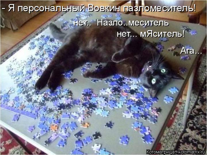 Котоматрица: - Я персональный Вовкин пазломеситель! Ага... нет..  Назло..меситель нет... мЯситель!