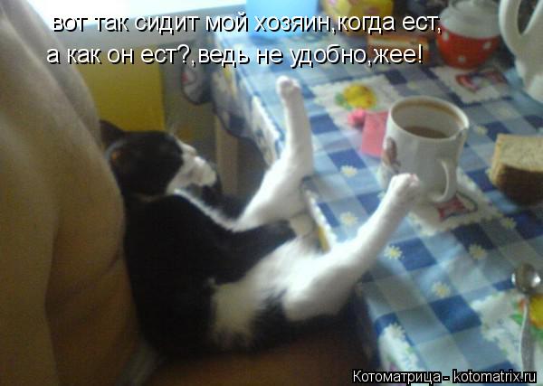 вот так сидит мой хозяин,когда ест, а как он ест?,ведь не удобно,жее!... Котоматрица: вот так сидит мой хозяин,когда ест, а как он ест?,ведь не удобно,жее!