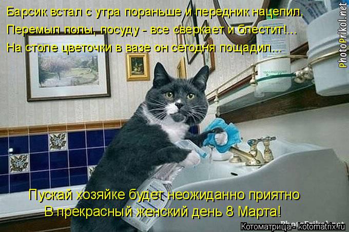 Барсик встал с утра пораньше и передник нацепил, Перемыл полы, посуду - все сверкает и блестит!... На... Котоматрица: Барсик встал с утра пораньше и передник нацепил, Перемыл полы, посуду - все сверкает и блестит!... На столе цветочки в вазе он сегодня пощадил.