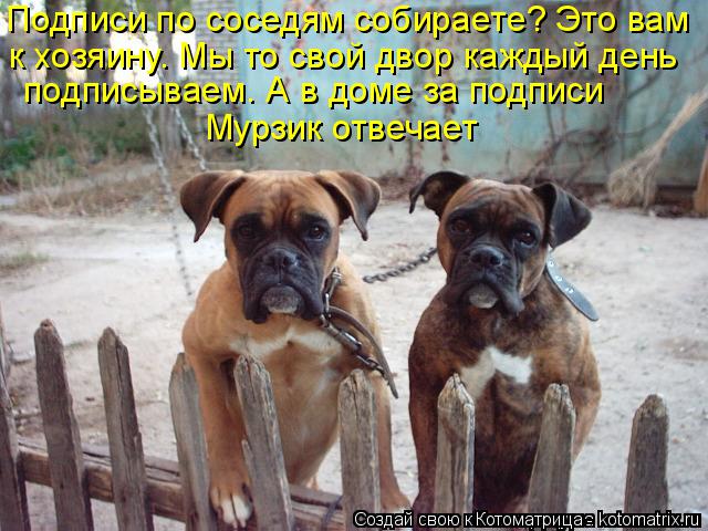 Подписи по соседям собираете? Это вам к хозяину. Мы то свой двор каждый день подписываем. А в доме за... Котоматрица: Подписи по соседям собираете? Это вам к хозяину. Мы то свой двор каждый день подписываем. А в доме за подписи Мурзик отвечает