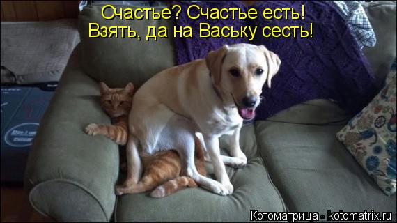 Счастье? Счастье есть! Взять, да на Ваську сесть!... Котоматрица: Счастье? Счастье есть! Взять, да на Ваську сесть!