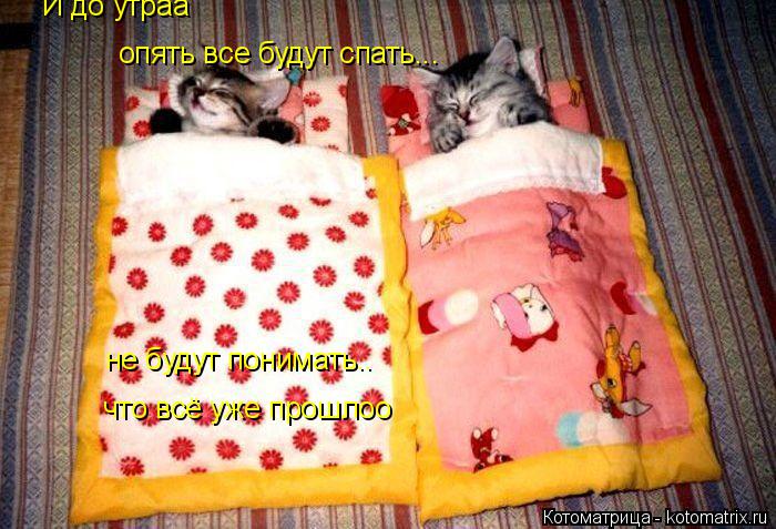 И до утраа опять все будут спать... не будут понимать.. что всё уже прошлоо... Котоматрица: И до утраа опять все будут спать... не будут понимать.. что всё уже прошлоо