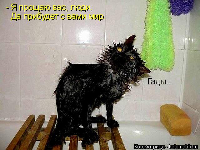 - Я прощаю вас, люди. Да прибудет с вами мир. Гады...... Котоматрица: - Я прощаю вас, люди. Да прибудет с вами мир. Гады...