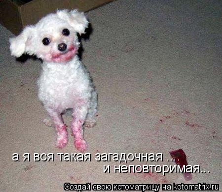 а я вся такая загадочная .... и неповторимая...... Котоматрица: а я вся такая загадочная .... и неповторимая...