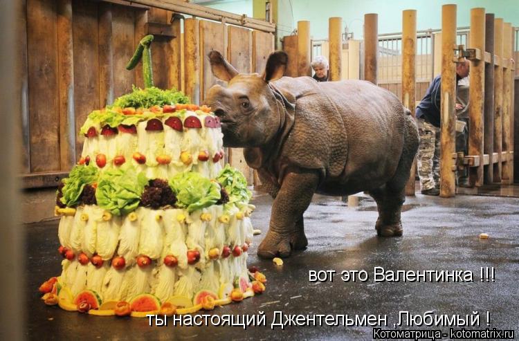 вот это Валентинка !!! ты настоящий Джентельмен ,Любимый !... Котоматрица: вот это Валентинка !!! ты настоящий Джентельмен ,Любимый !