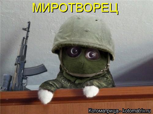 Котоматрица: МИРОТВОРЕЦ
