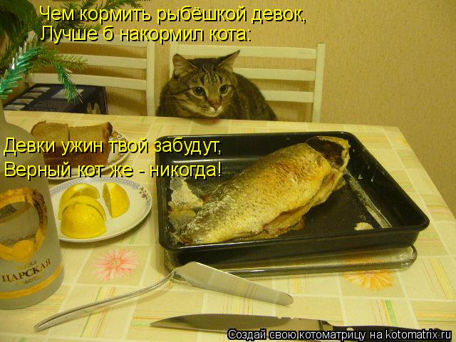 Котоматрица: Чем кормить рыбёшкой девок, Лучше б накормил кота: Девки ужин твой забудут, Верный кот же - никогда!