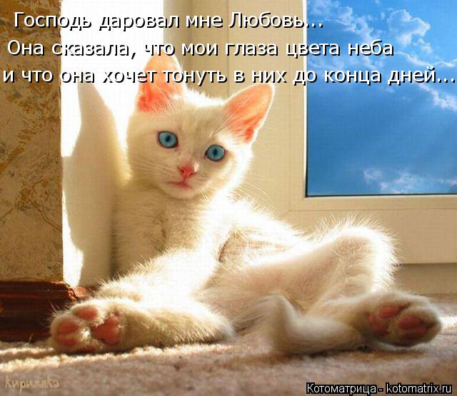 Господь даровал мне Любовь... и что она хочет тонуть в них до конца дней... Она сказала, что мои глаз... Котоматрица: Господь даровал мне Любовь... и что она хочет тонуть в них до конца дней... Она сказала, что мои глаза цвета неба