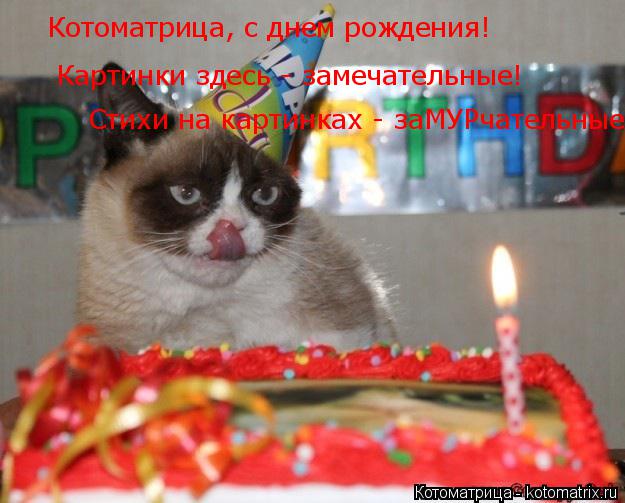 Котоматрица, с днем рождения! Картинки здесь - замечательные! Стихи на картинках - заМУРчательные!... Котоматрица: Котоматрица, с днем рождения! Картинки здесь - замечательные! Стихи на картинках - заМУРчательные!