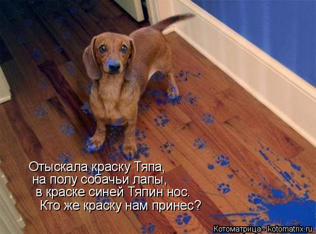 Отыскала краску Тяпа, на полу собачьи лапы, в краске синей Тяпин нос. Кто же краску нам принес?... Котоматрица: Отыскала краску Тяпа, на полу собачьи лапы, в краске синей Тяпин нос. Кто же краску нам принес?