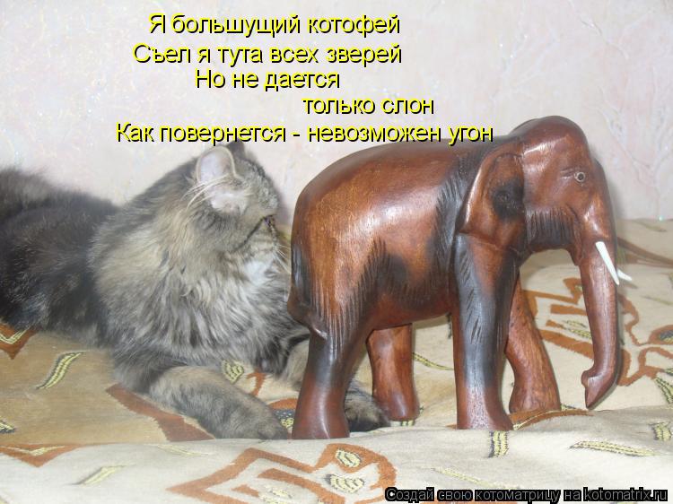 Котоматрица: Я большущий котофей Съел я тута всех зверей Но не дается только слон Как повернется - невозможен угон