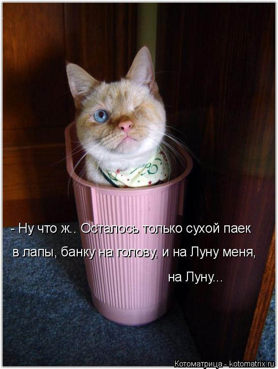 - Ну что ж.. Осталось только сухой паек в лапы, банку на голову, и на Луну меня, на Луну...... Котоматрица: - Ну что ж.. Осталось только сухой паек в лапы, банку на голову, и на Луну меня, на Луну...