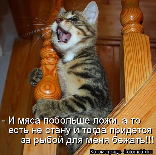 - И мяса побольше ложи, а то есть не стану и тогда придется за рыбой для меня бежать!!!... Котоматрица: - И мяса побольше ложи, а то есть не стану и тогда придется за рыбой для меня бежать!!!