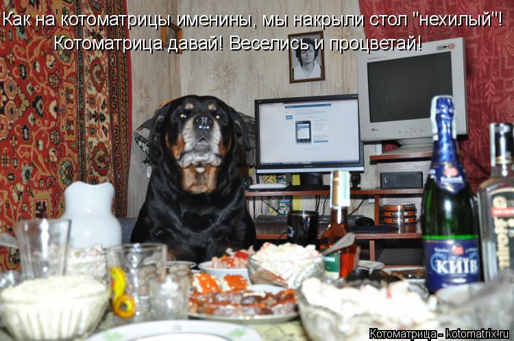 Котоматрица давай! Веселись и процветай! Как на котоматрицы именины, мы накрыли стол "нехилый"!... Котоматрица: Котоматрица давай! Веселись и процветай! Как на котоматрицы именины, мы накрыли стол "нехилый"!