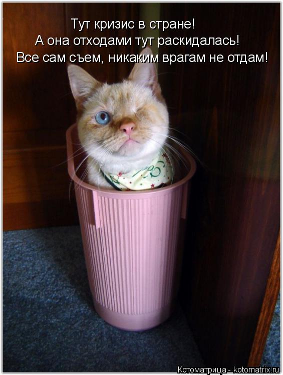 А она отходами тут раскидалась! Тут кризис в стране! Все сам съем, никаким врагам не отдам!... Котоматрица: А она отходами тут раскидалась! Тут кризис в стране! Все сам съем, никаким врагам не отдам!