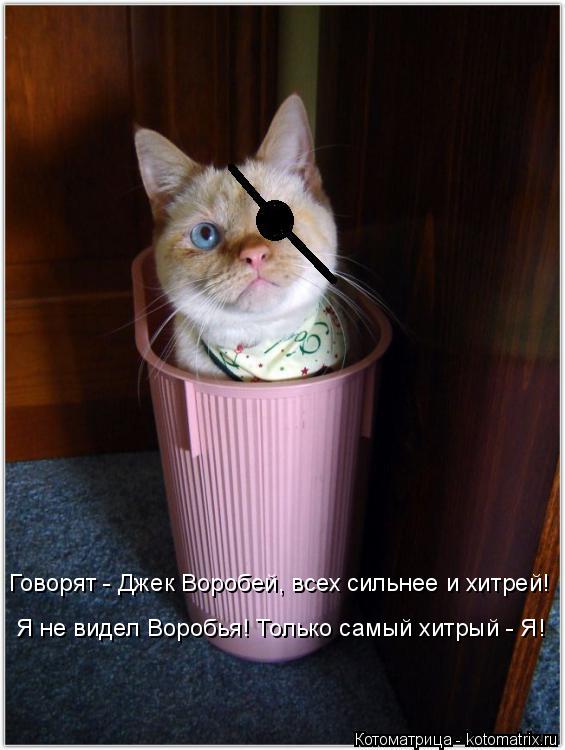 Говорят - Джек Воробей, всех сильнее и хитрей! Я не видел Воробья! Только самый хитрый - Я!... Котоматрица: Говорят - Джек Воробей, всех сильнее и хитрей! Я не видел Воробья! Только самый хитрый - Я!