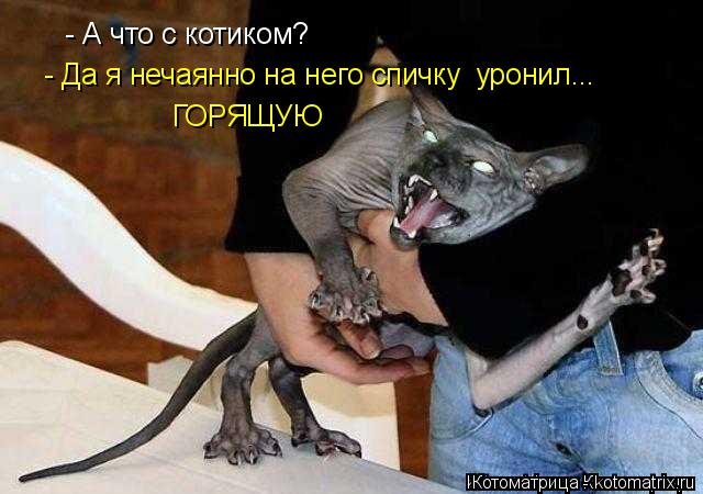- А что с котиком? - Да я нечаянно на него спичку уронил... ГОРЯЩУЮ... Котоматрица: - А что с котиком? - Да я нечаянно на него спичку уронил... ГОРЯЩУЮ