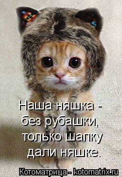 Наша няшка - без рубашки, только шапку дали няшке.... Котоматрица: Наша няшка - без рубашки, только шапку дали няшке.