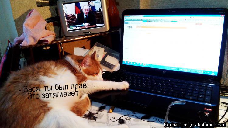 - Вася, ты был прав. Это затягивает... Котоматрица: - Вася, ты был прав. Это затягивает
