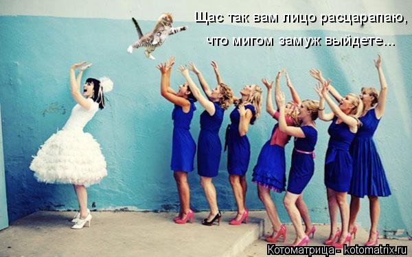 Щас так вам лицо расцарапаю, что мигом замуж выйдете...... Котоматрица: Щас так вам лицо расцарапаю, что мигом замуж выйдете...