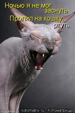 Котоматрица: Ночью я не мог  заснуть Пролил на кошку  ... ртуть