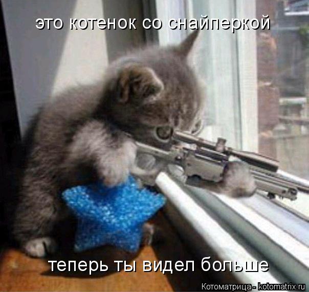 теперь ты видел больше это котенок со снайперкой... Котоматрица: теперь ты видел больше это котенок со снайперкой