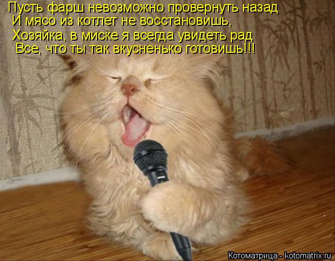 Пусть фарш невозможно провернуть назад И мясо из котлет не восстановишь, Хозяйка, в миске я всегда у... Котоматрица: Пусть фарш невозможно провернуть назад И мясо из котлет не восстановишь, Хозяйка, в миске я всегда увидеть рад Все, что ты так вкусненько г