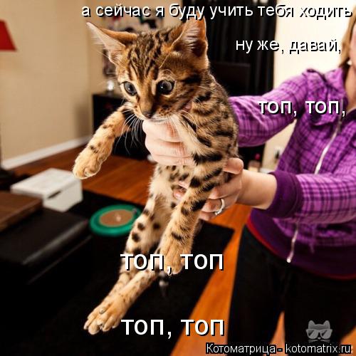 а сейчас я буду учить тебя ходить ну же, давай, топ, топ, топ, топ топ, топ... Котоматрица: а сейчас я буду учить тебя ходить ну же, давай, топ, топ, топ, топ топ, топ