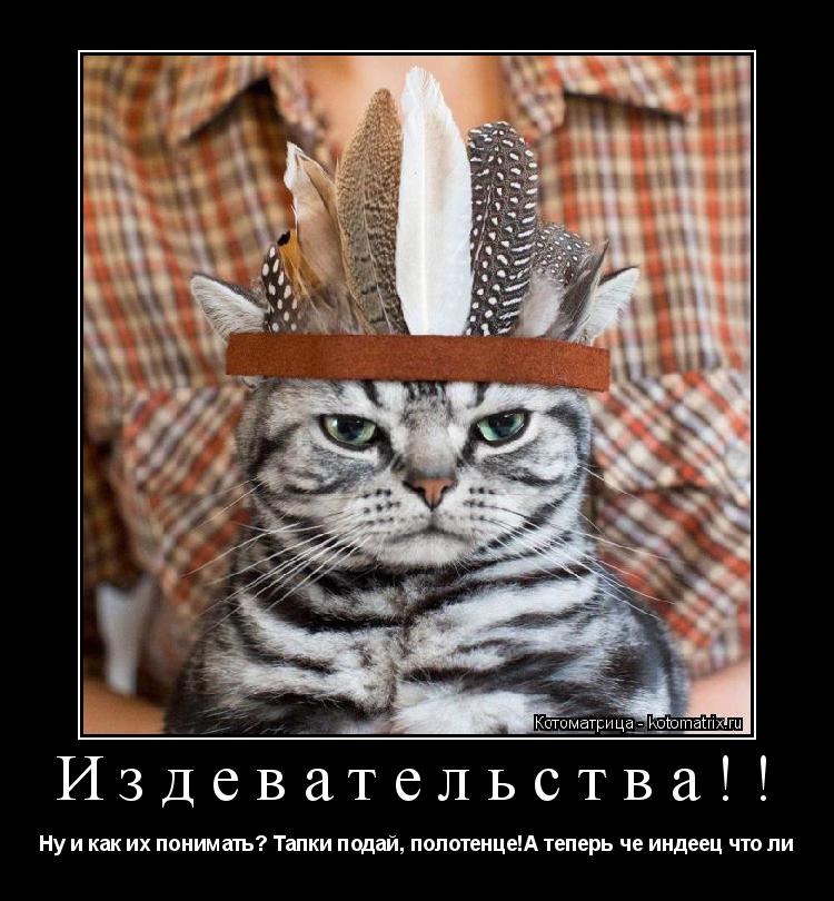 Издевательства!! Ну и как их понимать? Тапки подай, полотенце!А теперь че индеец что ли... Котоматрица: Издевательства!! Ну и как их понимать? Тапки подай, полотенце!А теперь че индеец что ли