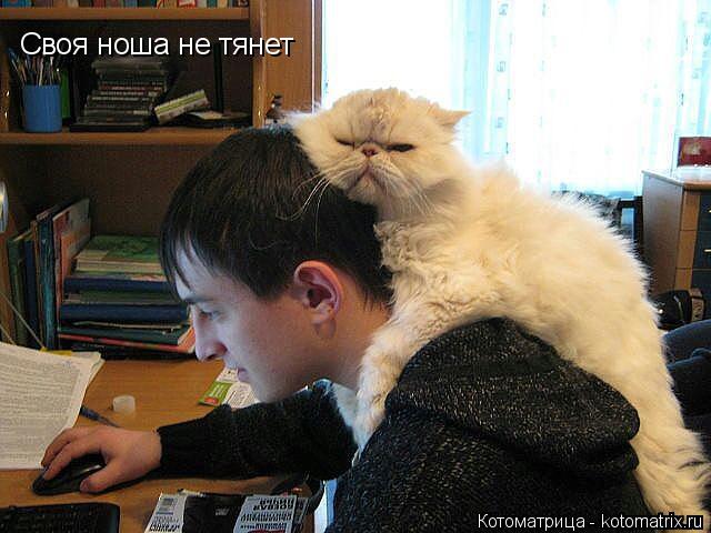 Своя ноша не тянет... Котоматрица: Своя ноша не тянет