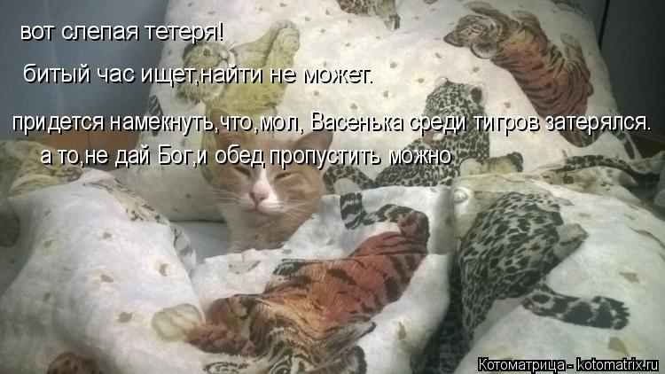 вот слепая тетеря! битый час ищет,найти не может. придется намекнуть,что,мол, Васенька среди тигров з... Котоматрица: вот слепая тетеря! битый час ищет,найти не может. придется намекнуть,что,мол, Васенька среди тигров затерялся. а то,не дай Бог,и обед пропуст