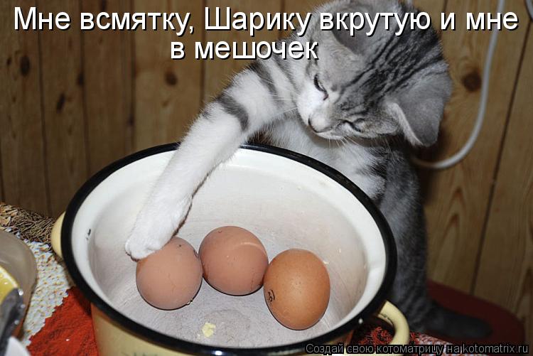 Мне всмятку, Шарику вкрутую и мне в мешочек... Котоматрица: Мне всмятку, Шарику вкрутую и мне в мешочек
