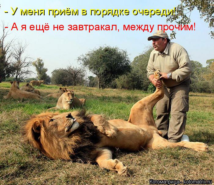 - У меня приём в порядке очереди! - А я ещё не завтракал, между прочим!... Котоматрица: - У меня приём в порядке очереди! - А я ещё не завтракал, между прочим!