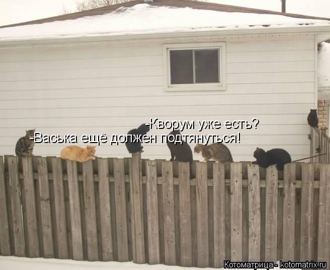 -Кворум уже есть? -Васька ещё должен подтянуться!... Котоматрица: -Кворум уже есть? -Васька ещё должен подтянуться!
