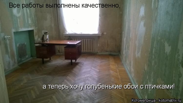 Все работы выполнены качественно, а теперь хочу голубенькие обои с птичками!... Котоматрица: Все работы выполнены качественно, а теперь хочу голубенькие обои с птичками!