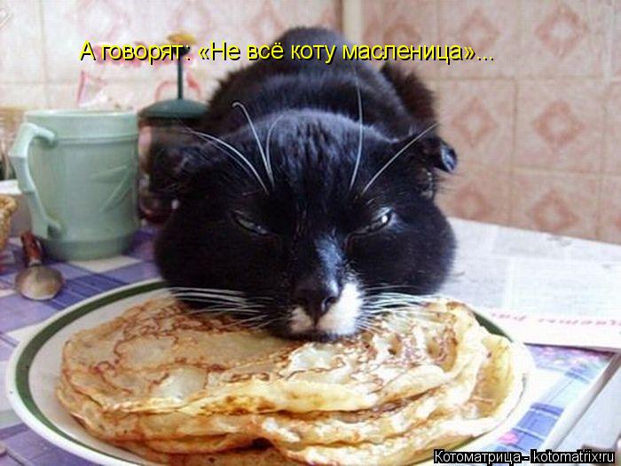 А говорят: «Не всё коту масленица»...... Котоматрица: А говорят: «Не всё коту масленица»...