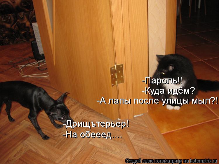 -Пароль!! -Дрищътерьер! -Куда идём? -На обееед.... -А лапы после улицы мыл?!... Котоматрица: -Пароль!! -Дрищътерьер! -Куда идём? -На обееед.... -А лапы после улицы мыл?!