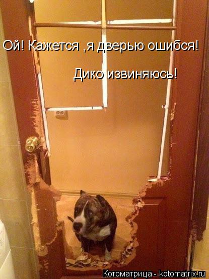 Ой! Кажется ,я дверью ошибся! Дико извиняюсь!... Котоматрица: Ой! Кажется ,я дверью ошибся! Дико извиняюсь!