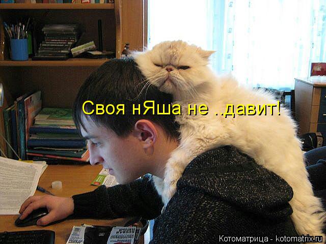 Своя нЯша не ..давит!... Котоматрица: Своя нЯша не ..давит!