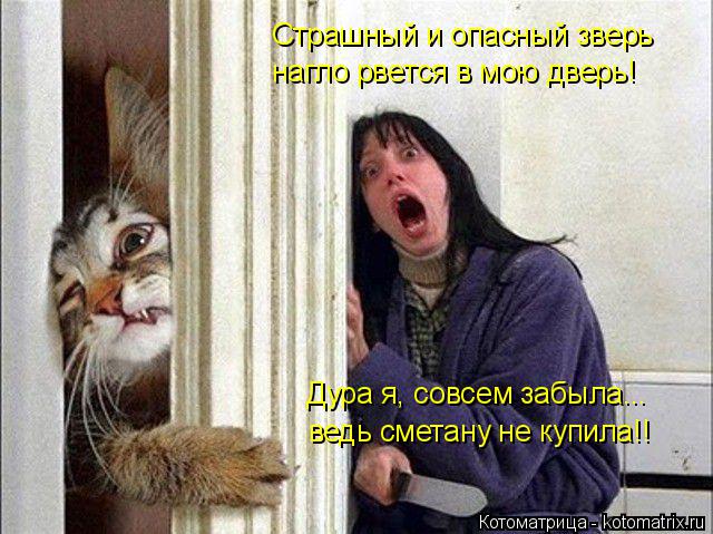 Страшный и опасный зверь нагло рвется в мою дверь! Дура я, совсем забыла... ведь сметану не купила!!... Котоматрица: Страшный и опасный зверь нагло рвется в мою дверь! Дура я, совсем забыла... ведь сметану не купила!!