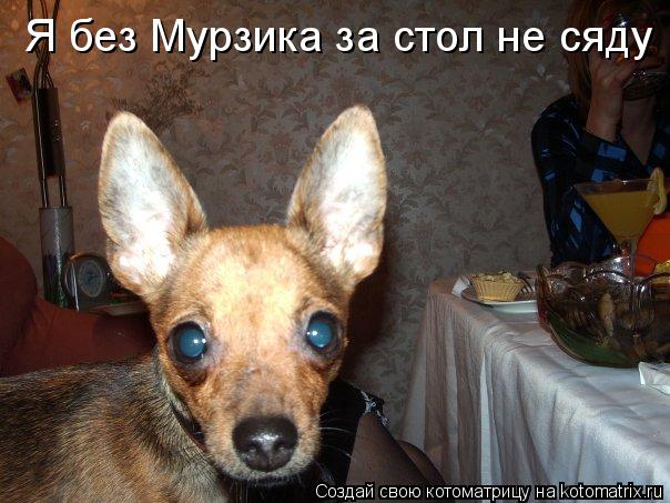 Я без Мурзика за стол не сяду... Котоматрица: Я без Мурзика за стол не сяду