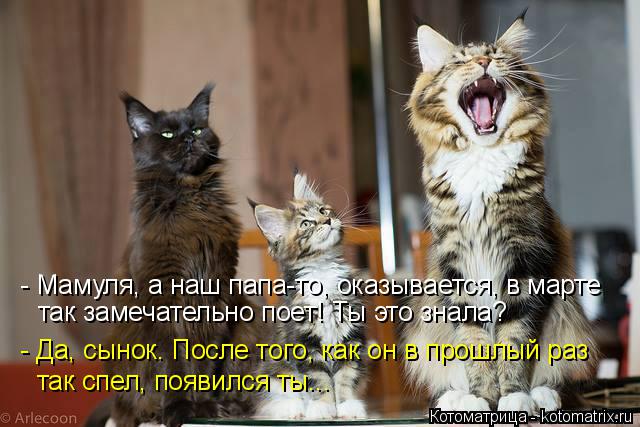 - Мамуля, а наш папа-то, оказывается, в марте так замечательно поет! Ты это знала? - Да, сынок. После... Котоматрица: - Мамуля, а наш папа-то, оказывается, в марте так замечательно поет! Ты это знала? - Да, сынок. После того, как он в прошлый раз так спел, появилс