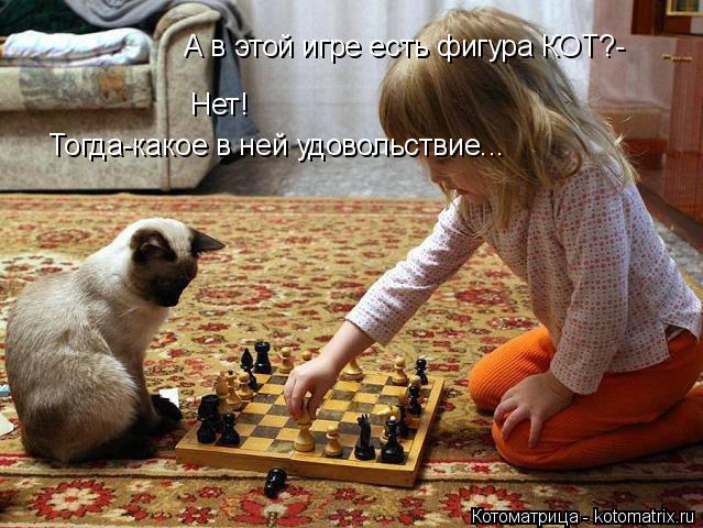 А в этой игре есть фигура КОТ?- Нет! Тогда-какое в ней удовольствие...... Котоматрица: А в этой игре есть фигура КОТ?- Нет! Тогда-какое в ней удовольствие...