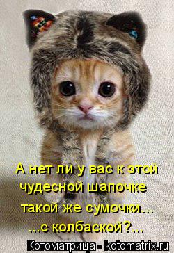 А нет ли у вас к этой чудесной шапочке такой же сумочки... ...с колбаской?...... Котоматрица: А нет ли у вас к этой чудесной шапочке такой же сумочки... ...с колбаской?...