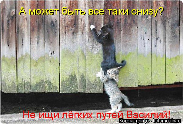А может быть все таки снизу? Не ищи лёгких путей Василий!... Котоматрица: А может быть все таки снизу? Не ищи лёгких путей Василий!