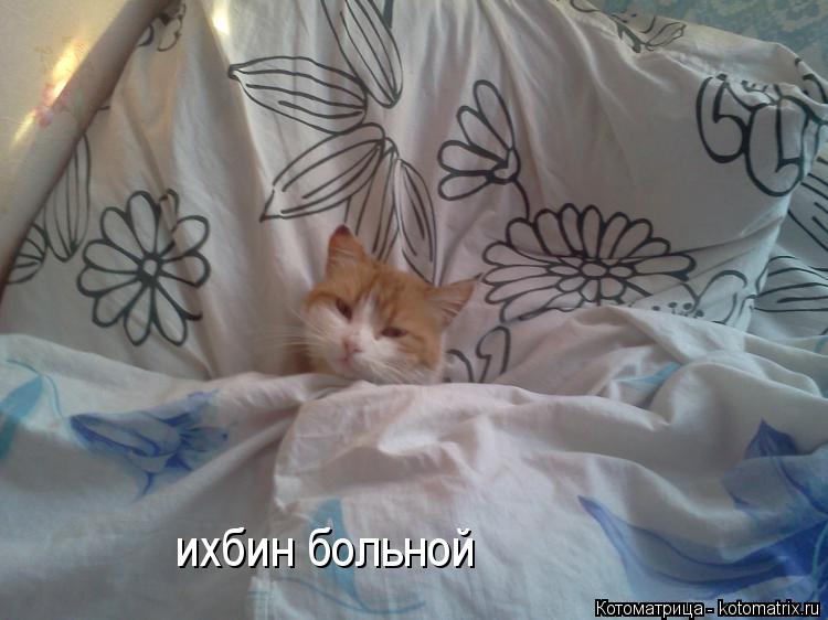 ихбин больной... Котоматрица: ихбин больной